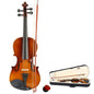 Acoustic Violin for Beginner with Case Bow Rosin