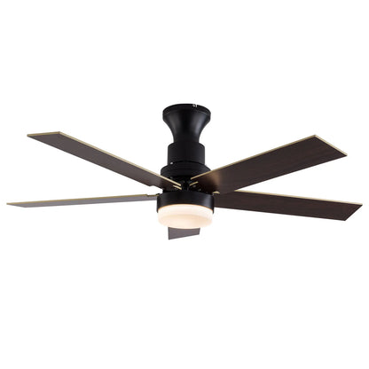 Ceiling Fan Light with Remote Control